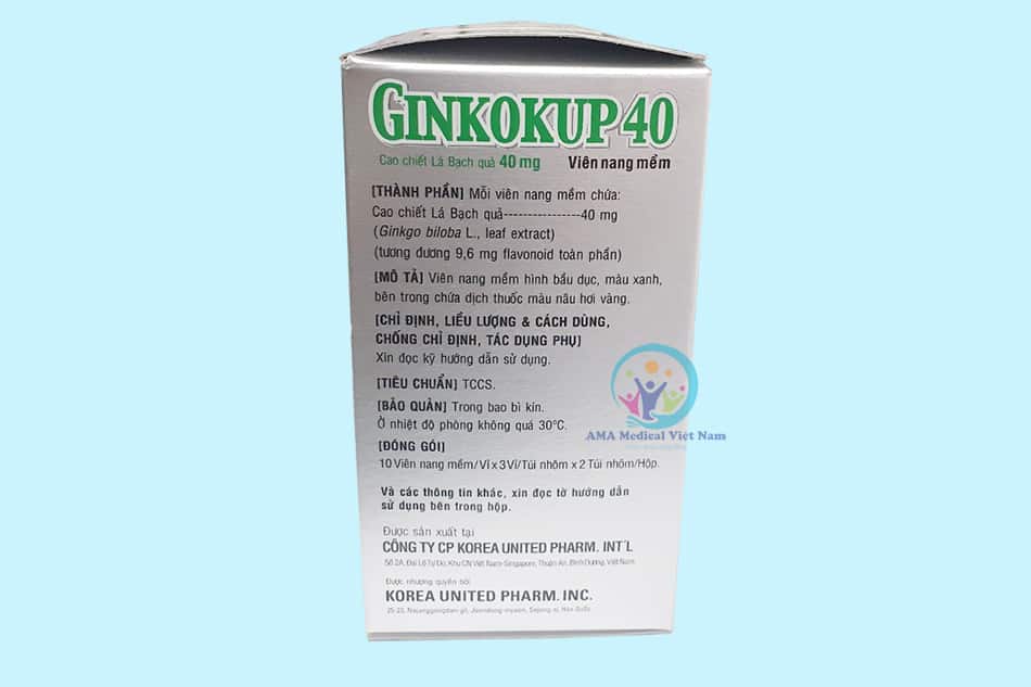 Thành phần thuốc Ginkokup 40