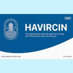 Hình ảnh: Thực phẩm bảo vệ sức khỏe Havircin