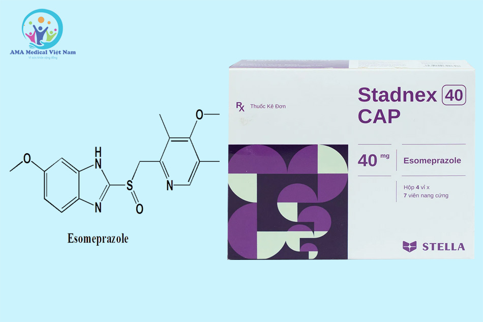Thành phần chính của thuốc Stadnex 40 CAP